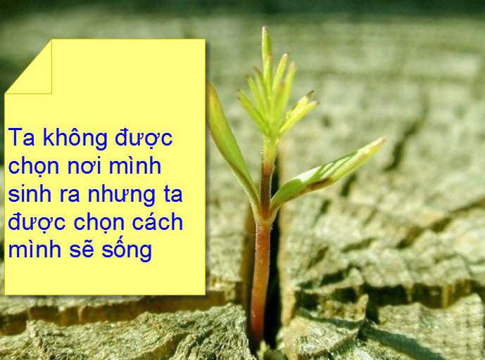 Hình ảnh nỗ lực cố gắng 5 Hình ảnh nỗ lực cố gắng 5