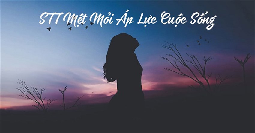 Stt áp lực gia đình ngắn, những câu nói hay về áp lực cuộc sống