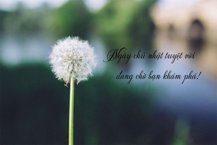 Hình ảnh đẹp chúc Chủ Nhật hạnh phúc Hình ảnh đẹp chúc Chủ Nhật hạnh phúc