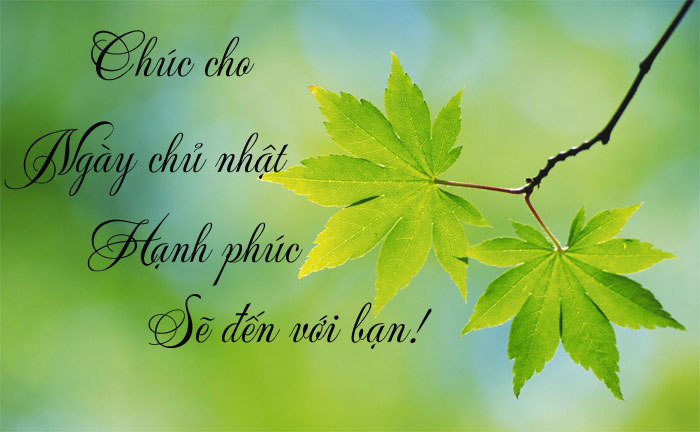 Hình ảnh đẹp chúc Chủ Nhật hạnh phúc Hình ảnh đẹp chúc Chủ Nhật hạnh phúc