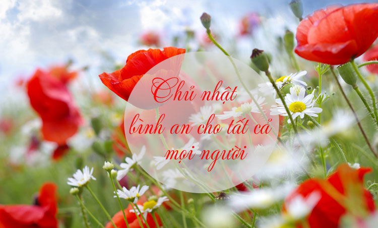 Hình ảnh đẹp chúc Chủ Nhật hạnh phúc Hình ảnh đẹp chúc Chủ Nhật hạnh phúc