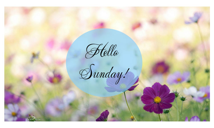 Hình ảnh đẹp chúc Chủ Nhật hạnh phúc Hình ảnh đẹp chúc Chủ Nhật hạnh phúc