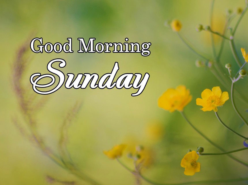 Hình ảnh đẹp chúc Chủ Nhật hạnh phúc Hình ảnh đẹp chúc Chủ Nhật hạnh phúc