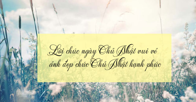 Những lời chúc ngày Chủ Nhật vui vẻ Những lời chúc ngày Chủ Nhật vui vẻ