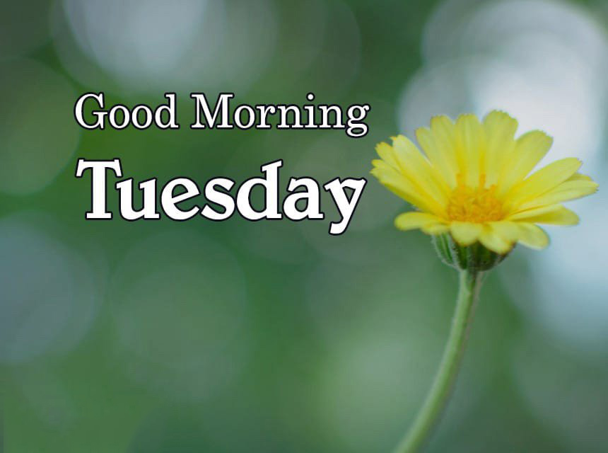 Hình ảnh, lời chúc, thơ hay chào ngày thứ 3