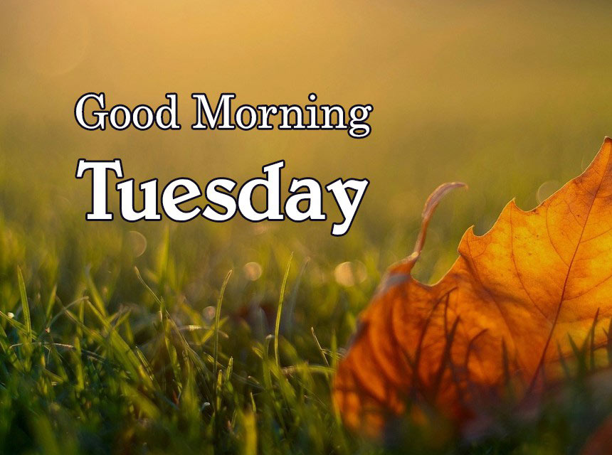 Hình ảnh chào ngày mới thứ Ba 8