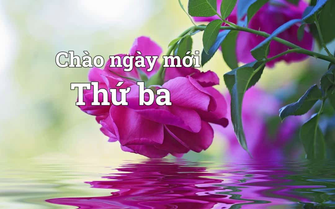 Lời chúc chào ngày mới thứ Ba