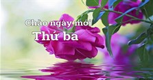 Chào ngày mới thứ 3 hạnh phúc với hình ảnh, lời chúc, thơ hay nhất