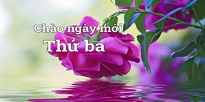 Chào ngày mới thứ 3 hạnh phúc với hình ảnh, lời chúc, thơ hay nhất