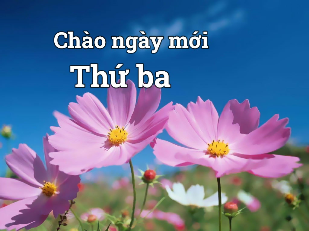 Hình ảnh chào ngày mới thứ Ba 1