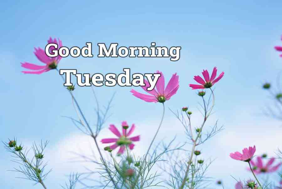 Hình ảnh chào ngày mới thứ Ba 4