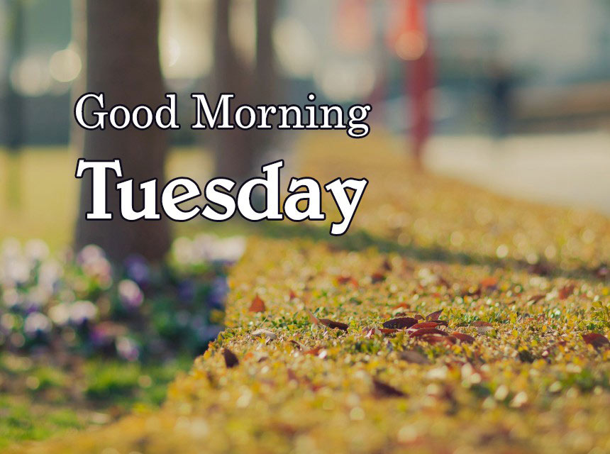 Hình ảnh chào ngày mới thứ Ba 6