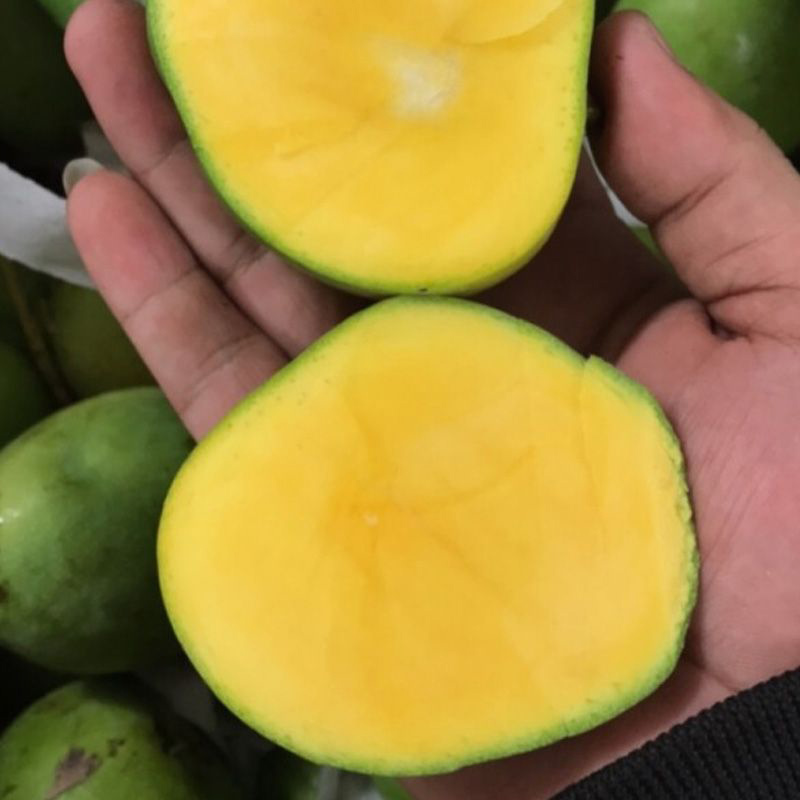 Đuổi ong ra khỏi nhà bằng trái cây Đuổi ong ra khỏi nhà bằng trái cây