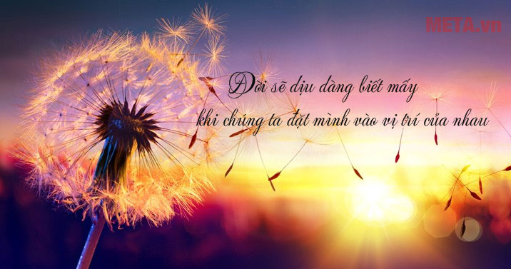 Những câu nói tâm đắc hay về cuộc sống Những câu nói tâm đắc hay về cuộc sống