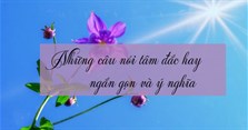 Tổng hợp câu nói tâm đắc ý nghĩa
