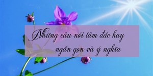 Tổng hợp câu nói tâm đắc ý nghĩa