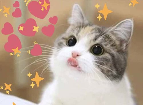 Hình ảnh thả thính