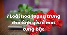 Loài hoa đại diện cho tình yêu