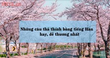 Tổng hợp stt thả thính tiếng Hàn