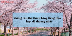 Tổng hợp stt thả thính tiếng Hàn