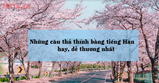 Thả thính bằng tiếng Hàn Thả thính bằng tiếng Hàn