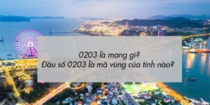 0203 là mạng gì? Đầu số 0203 là mã vùng của tỉnh nào?