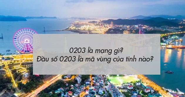 0203 là mạng gì 0203 là mạng gì
