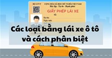 Các loại bằng lái xe ô tô và cách phân biệt