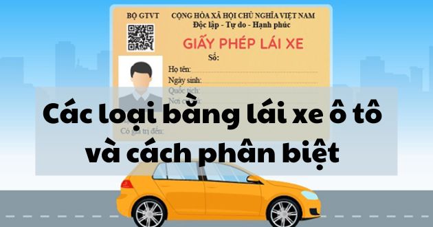 Các loại bằng lái xe ô tô