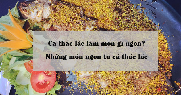 Món ngon từ cá thác lác