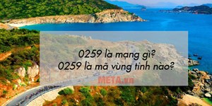 0259 là mạng gì? 0259 là mã vùng ở đâu, thuộc tỉnh nào?