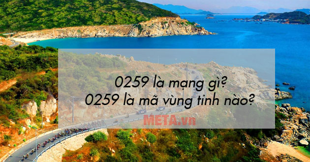 0259 là mạng gì