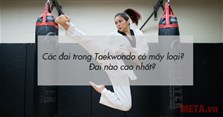Các đai trong Taekwondo có mấy loại? Đai nào cao nhất?