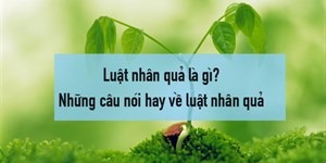 Luật nhân quả là gì? Những câu nói hay về luật nhân quả trong cuộc sống