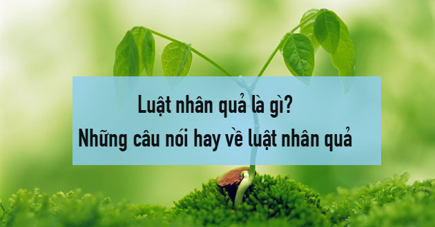 Luật nhân quả là gì