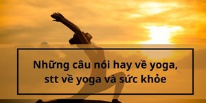 Những câu nói hay về yoga, stt về yoga và sức khỏe