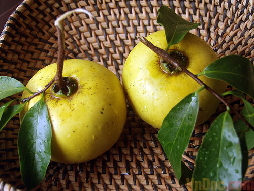 Tuyển tập thơ hay cho bé Chùm thơ hay cho bé