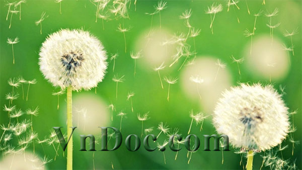 Cách tạo chữ nổi trong Photoshop