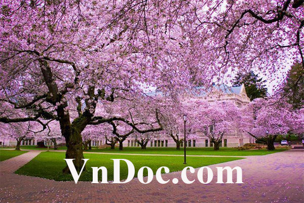 Hướng dẫn cách viết chữ trong Photoshop Cách viết text trong Photoshop
