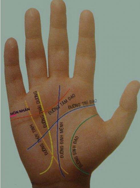 Tính cách con người thể hiện qua đường nét lòng bàn tay xem tính cách con người qua đường chỉ tay