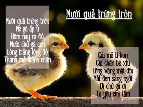 Những bài thơ để đọc lúc đi ngủ cho bé