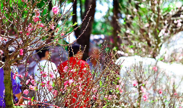 Những kiêng kỵ của bà bầu ngày Tết