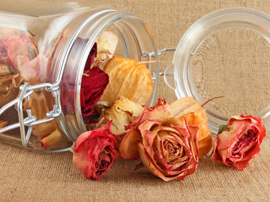 Cách làm khô hoa tươi tự nhiên Cách làm hoa khô từ hoa tươi đẹp nhất