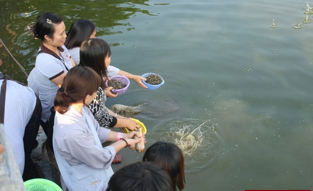 Cúng phóng sinh rằm tháng 7 và những điều nên biết