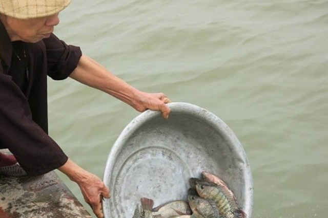 Cúng phóng sinh rằm tháng 7 và những điều nên biết