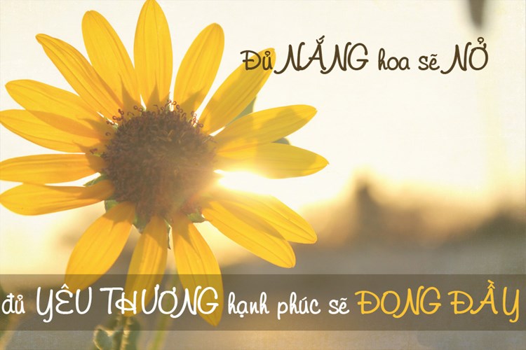 Những câu nói về cuộc sống 40 câu nói ý nghĩa về cuộc sống mà bạn nên đọc một lần trong đời