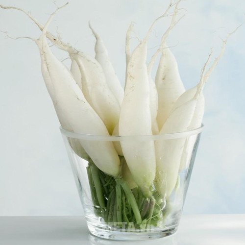 Củ cải đường chứa nhiều vitamin giúp bạn dưỡng môi