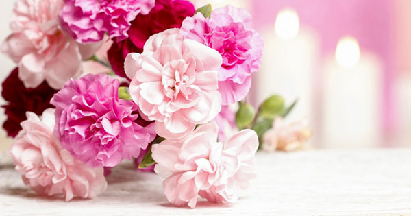 Ngày nhà giáo việt nam 20/11