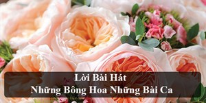 Lời bài hát Những bông hoa những bài ca