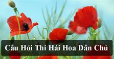 Câu hỏi thi hái hoa dân chủ